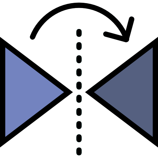 Mirror horizontally